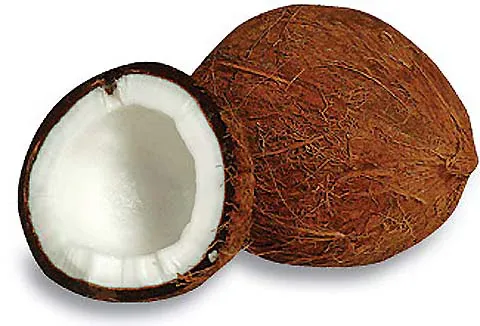 Kokosmilch